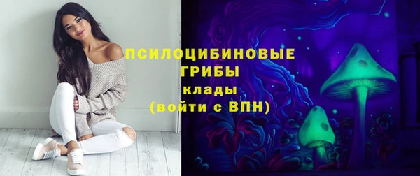 круглые Алексеевка