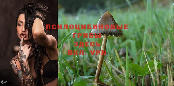 ПСИЛОЦИБИНОВЫЕ ГРИБЫ Арсеньев