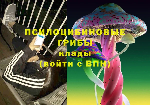 дурь Алексин