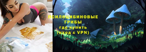 apvp Аркадак