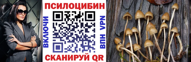 сайты даркнета как зайти купить Лихославль Галлюциногенные грибы Cubensis